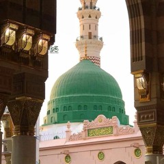 وآيات الغرام البيّنات - الشيخ جهاد الكالوتي