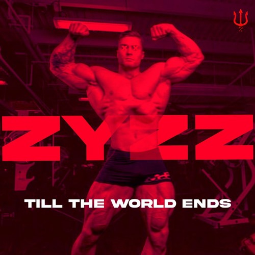 Till The World Ends Zyzz