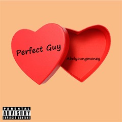 Perfect Guy