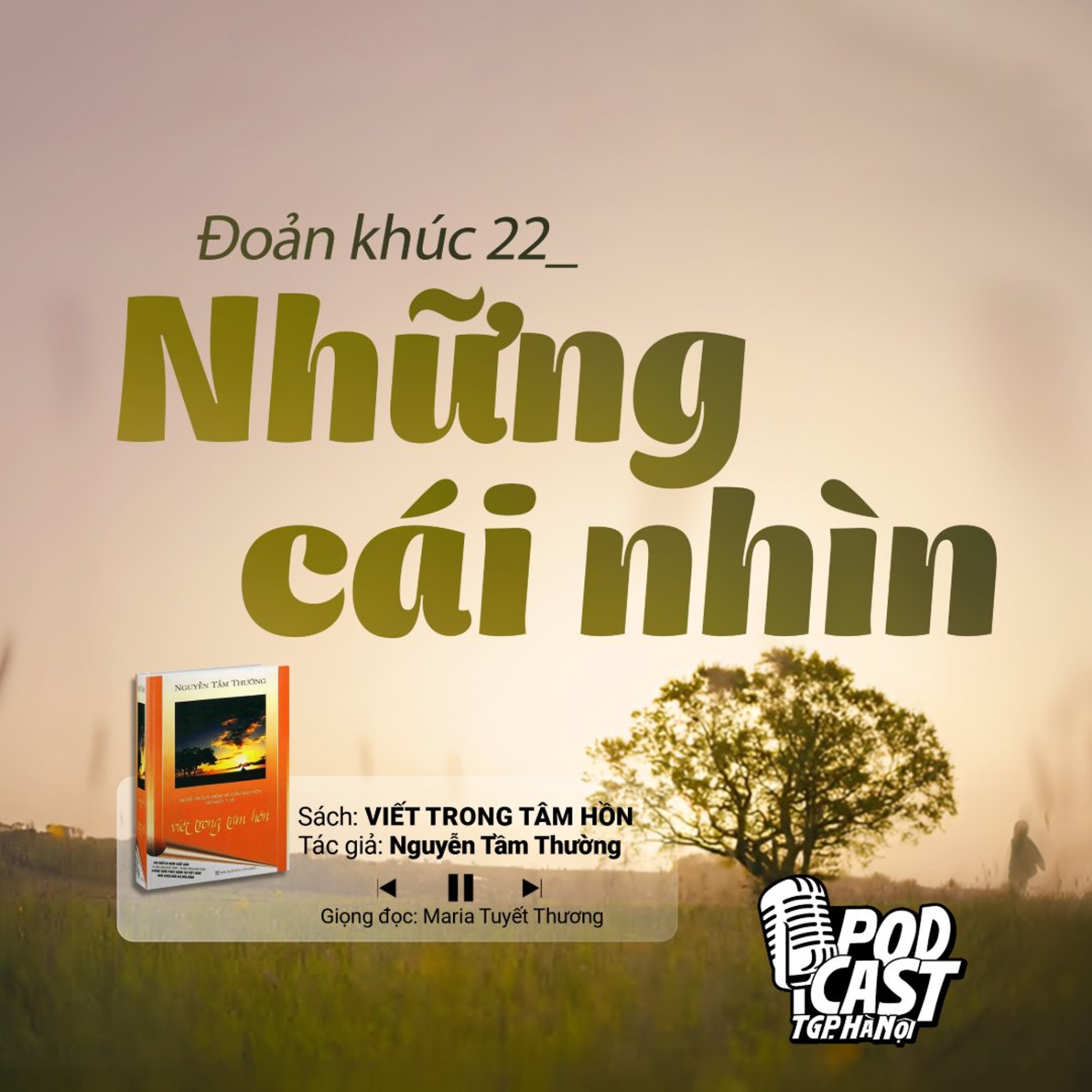 ĐK22: Những cái nhìn (Tg. Nguyễn Tầm Thường) || Viết trong tâm hồn episode artwork