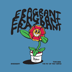 PREMIERE: Toscana - The Fly Of The Turtle [Duchesse]