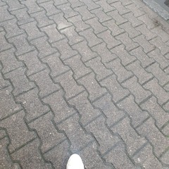 I going to buy bread