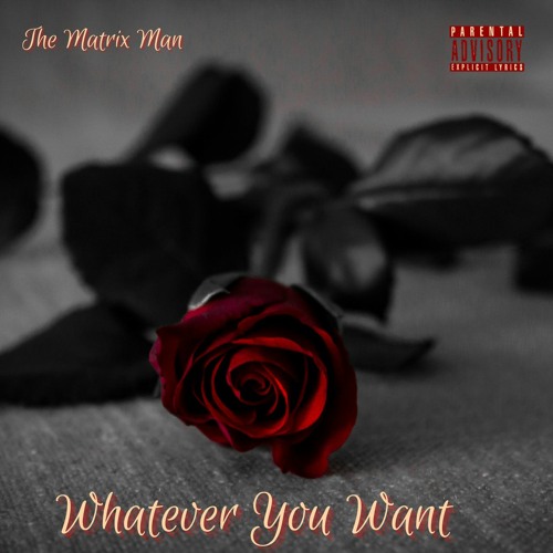 The Matrix Man- Whatever You Want