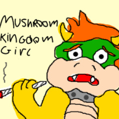 (DJ BOWSER) wifiskeleton - mushroom kingdom girl