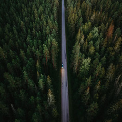 Wrong Turn
