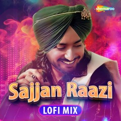 Sajjan Raazi LoFi Mix