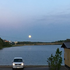 M6tlik Silla Laul