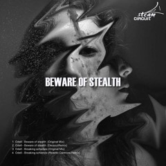 Beware Of Stealth  (Original Mix)