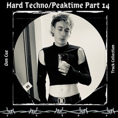 Hard Techno/Peaktime/Part 14