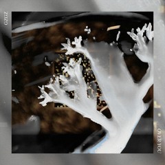 Over You (feat. LT Wade & Elle Wade)