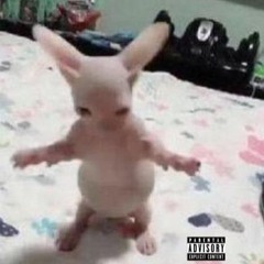 chxkyfr x KsinKasdeya - D A M D   (Prod. by Franky Vibes)