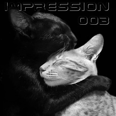 THE KODE - IMPRESSION 003