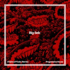 Big Seb - Chains Of Fools (Remix)