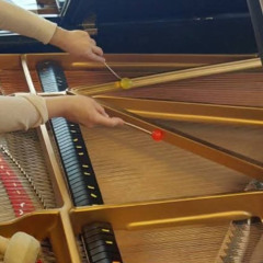 Dancers in the Vineyards, part I, performed by Tali Morgulis, live 6/03/2025, Houston