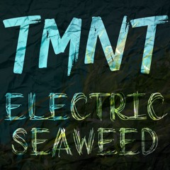 TMNT (NES) - Electric Seaweed