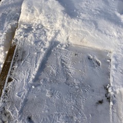 Die Polizei, dein Leugner und Verfolger