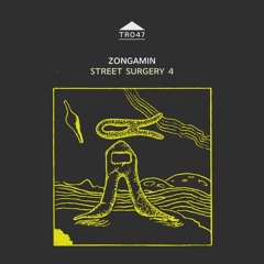TR047 - Zongamin - 'Temple 2'
