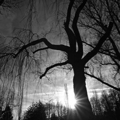 B - Drive - 4th wave Temple Istanbul Podcast