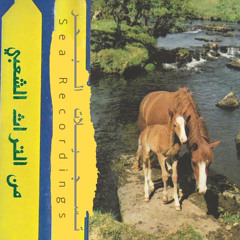 Palestinian Bedouin psychedelic original dabka tape 1980s - كاسيت فلسطيني بدوي اصلي ١٩٨٠