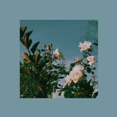 FANTASY 『edit audio』