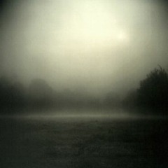 harika bi hairline'ım var ve bunu kaybetmeye hiç niyetim yok