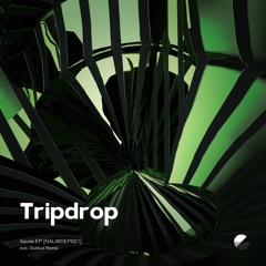 Tripdrop - Asuna EP incl. Dublud Remix [NALWDEP022]