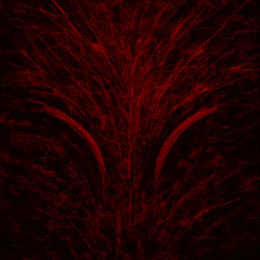 silent cortex awakening