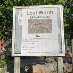 animal (prod. yungspoiler)