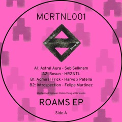 B2. Felipe Martinez - Introspection (Snippet) MCRTNL001 Memoria