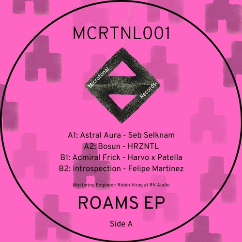 B2. Felipe Martinez - Introspection (Snippet) MCRTNL001 Memoria