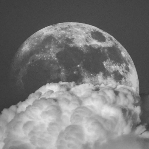 alive - 5th Journey: Full Moon Disco