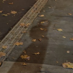 loved by some. hated by some.