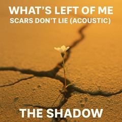 BT – “She Never Judged Me” _