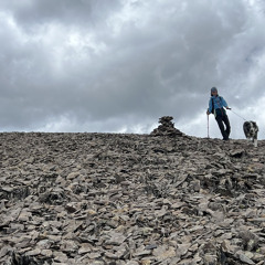 5. She Dreams of False Summits