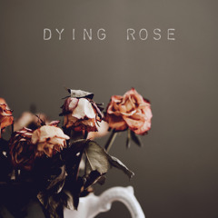 dying rose (prod. saint mike)