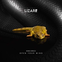 Mimmo Errico - Open Your Mind