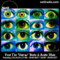 Feed The Void w/ Birds & Acidic Male - 22nd October 2024