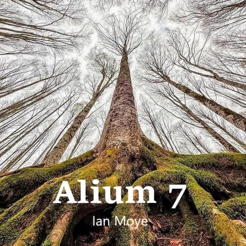 Alium 7  Ian Moye