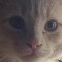 Hey Ma Cover- Bon Iver