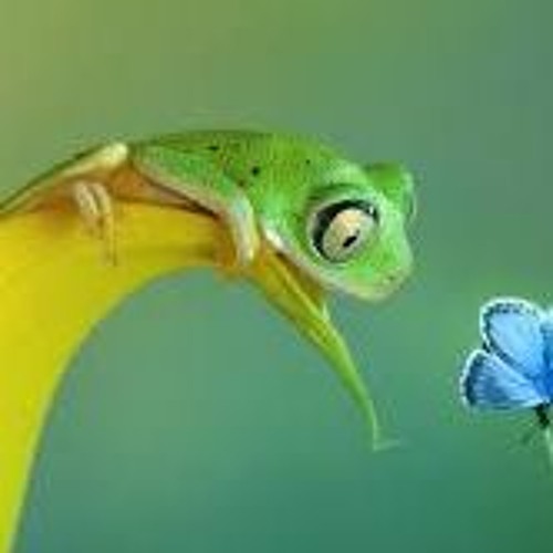 The Demons Inside Of Me Want To Get Out