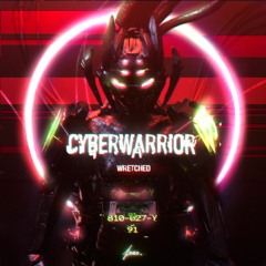 cyberwarrior