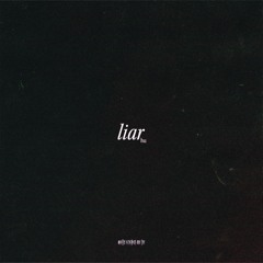 liar - snippet