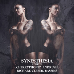 Adrenaline Rush (Richard Cleber Remix)