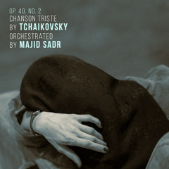 Tchaikovsky - Chanson Triste Op. 40, No. 2 Orchestral version