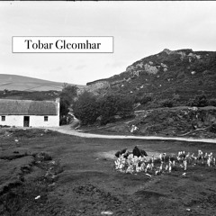 An Tobar Gleomhar le Róis: 009 (beo i Raidió Fáilte