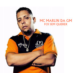 Foi Sem Querer