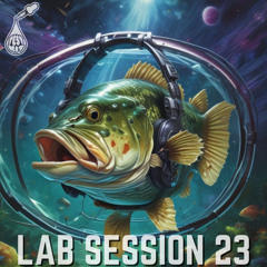 Lab Session 23