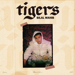 Tigers Bilal Wahib(Extended-Mix)Free Download