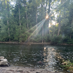 One Summer Morning: Live Set Camp Sleepy Bear