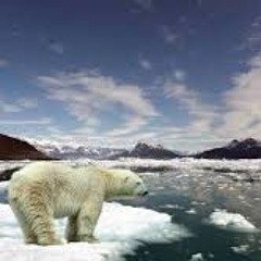 Tous Sur La Banquise TRIO III